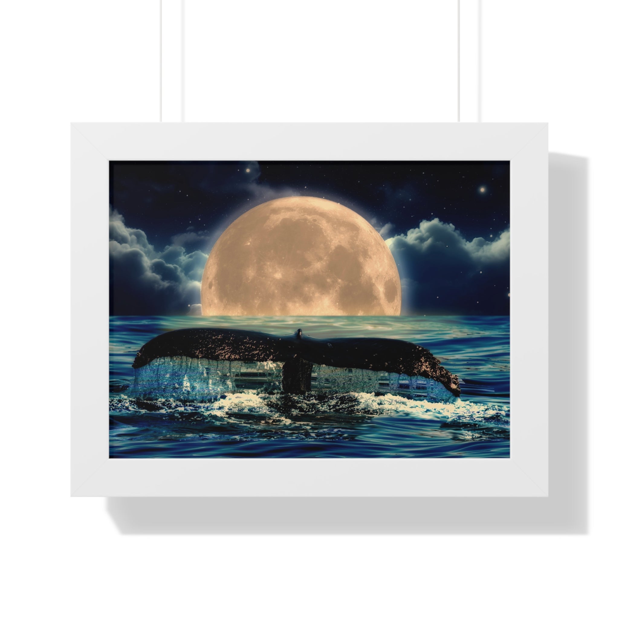 Ocean Odyssey
