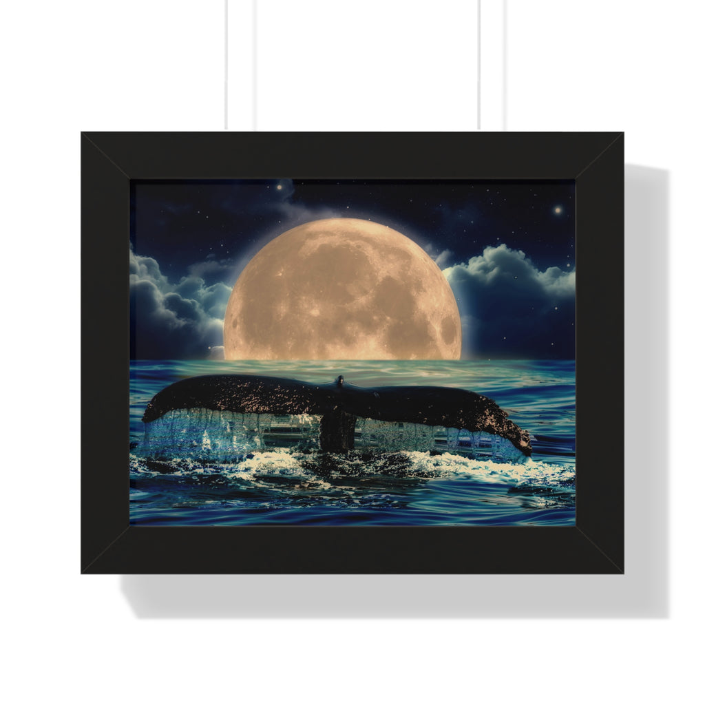 Ocean Odyssey