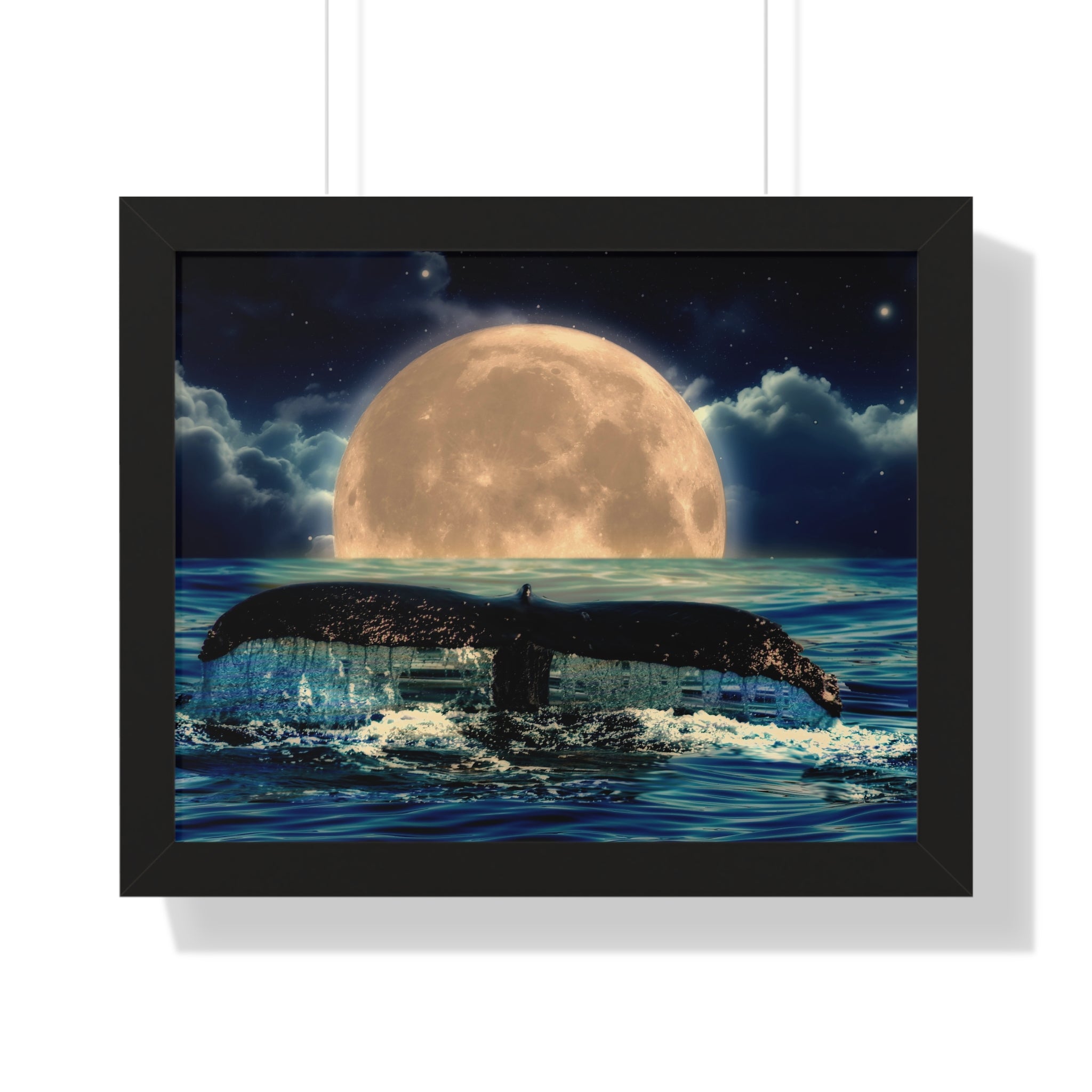 Ocean Odyssey