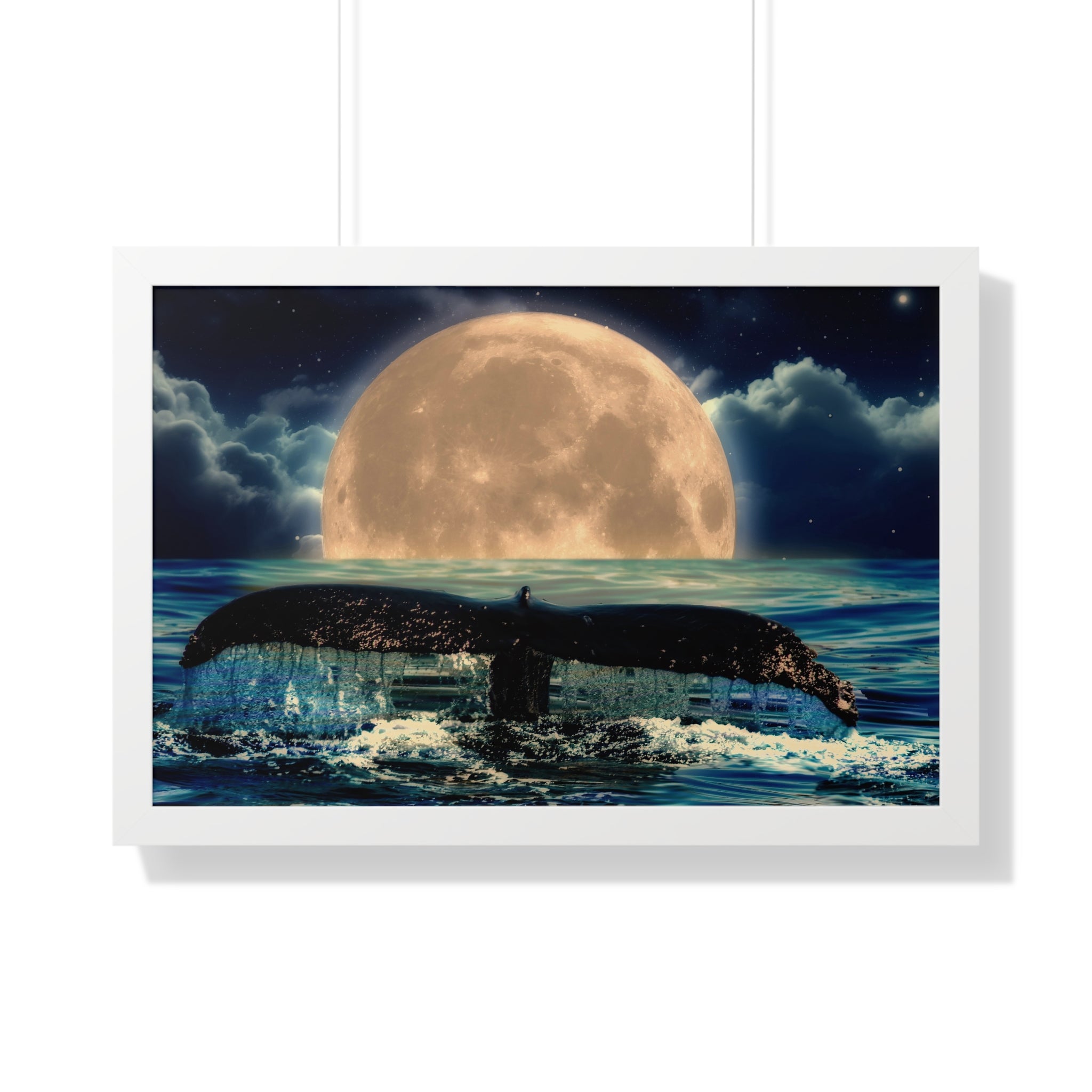 Ocean Odyssey