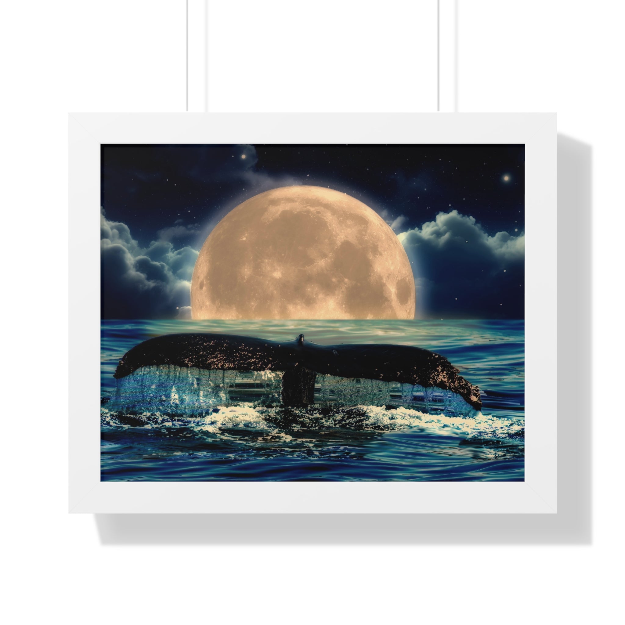 Ocean Odyssey