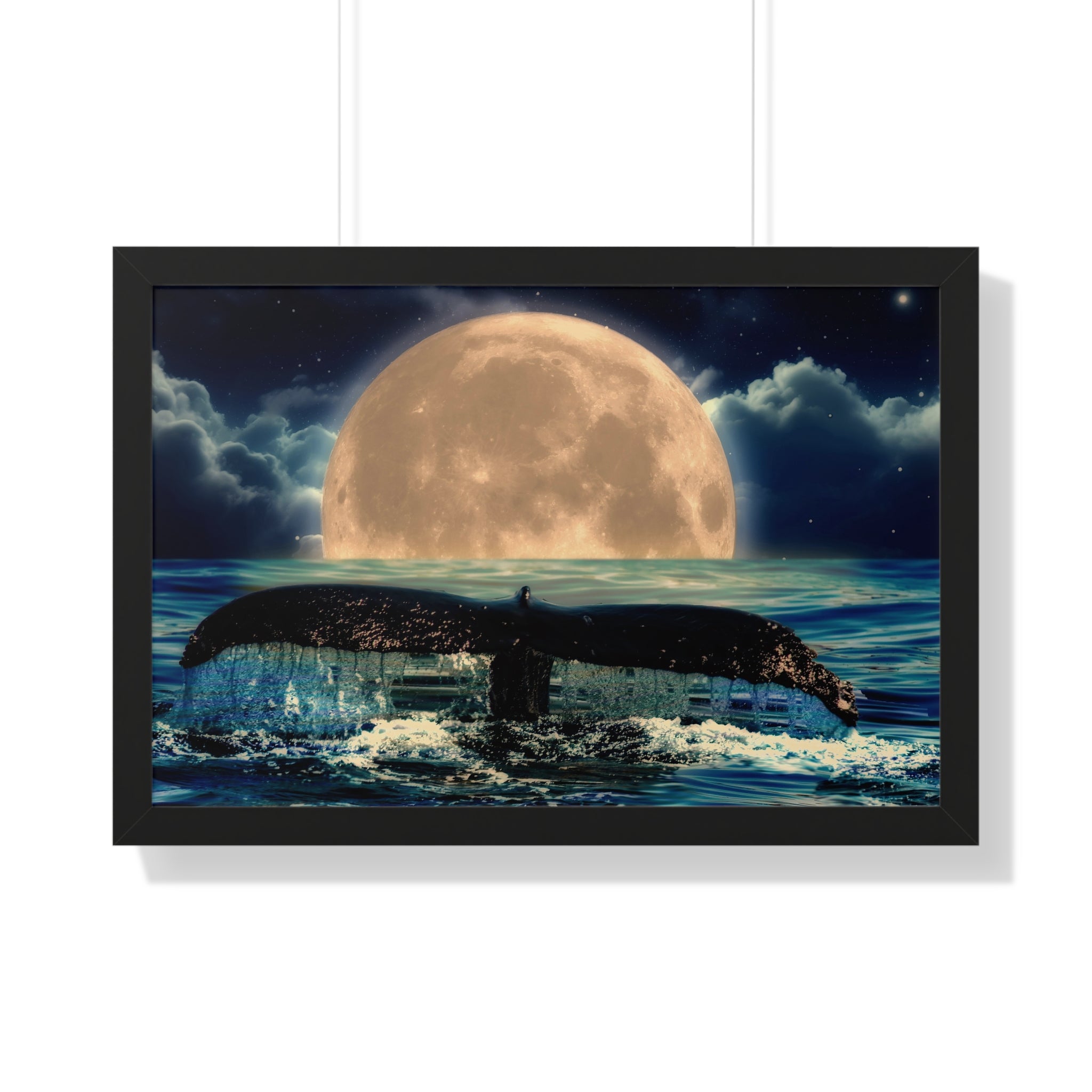Ocean Odyssey