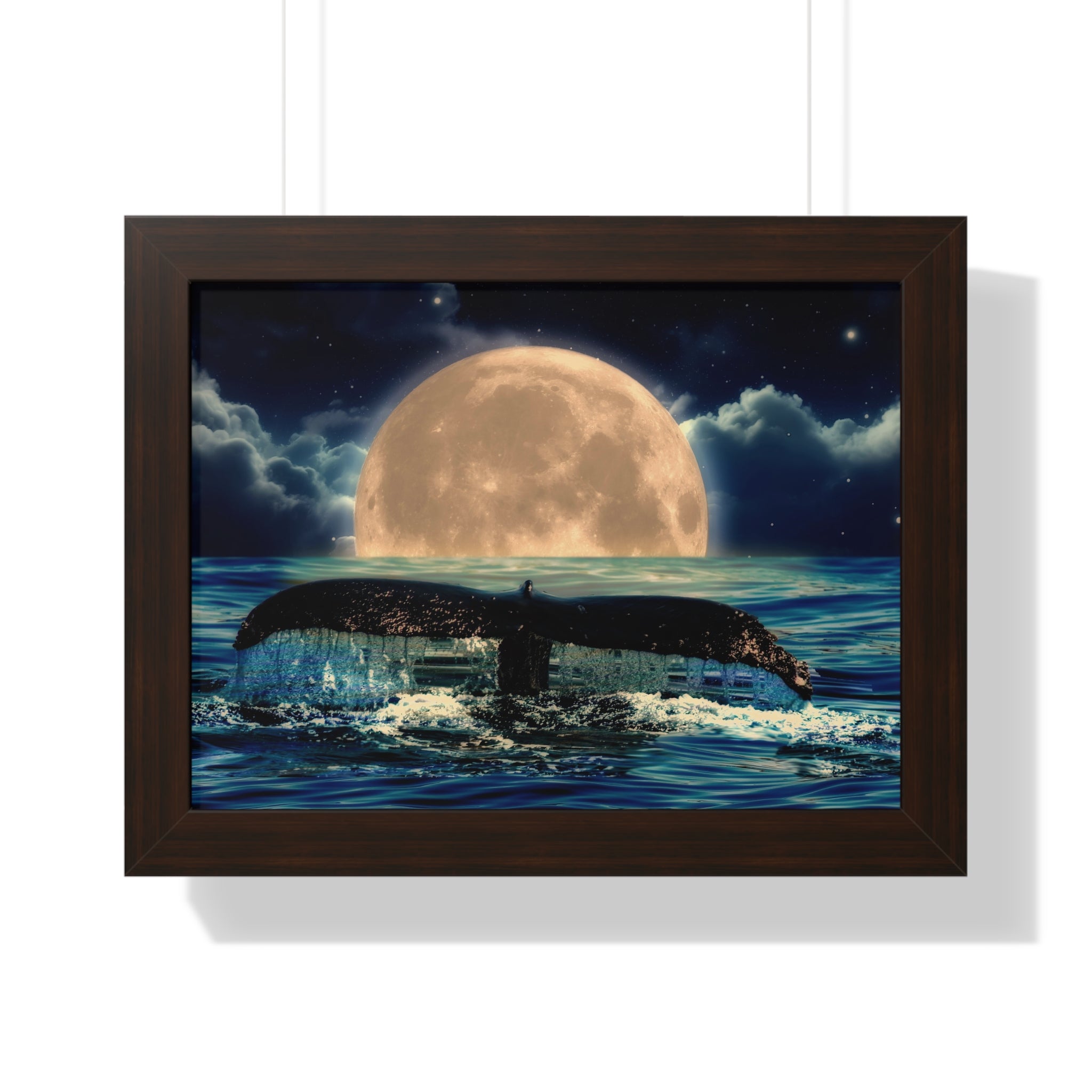 Ocean Odyssey
