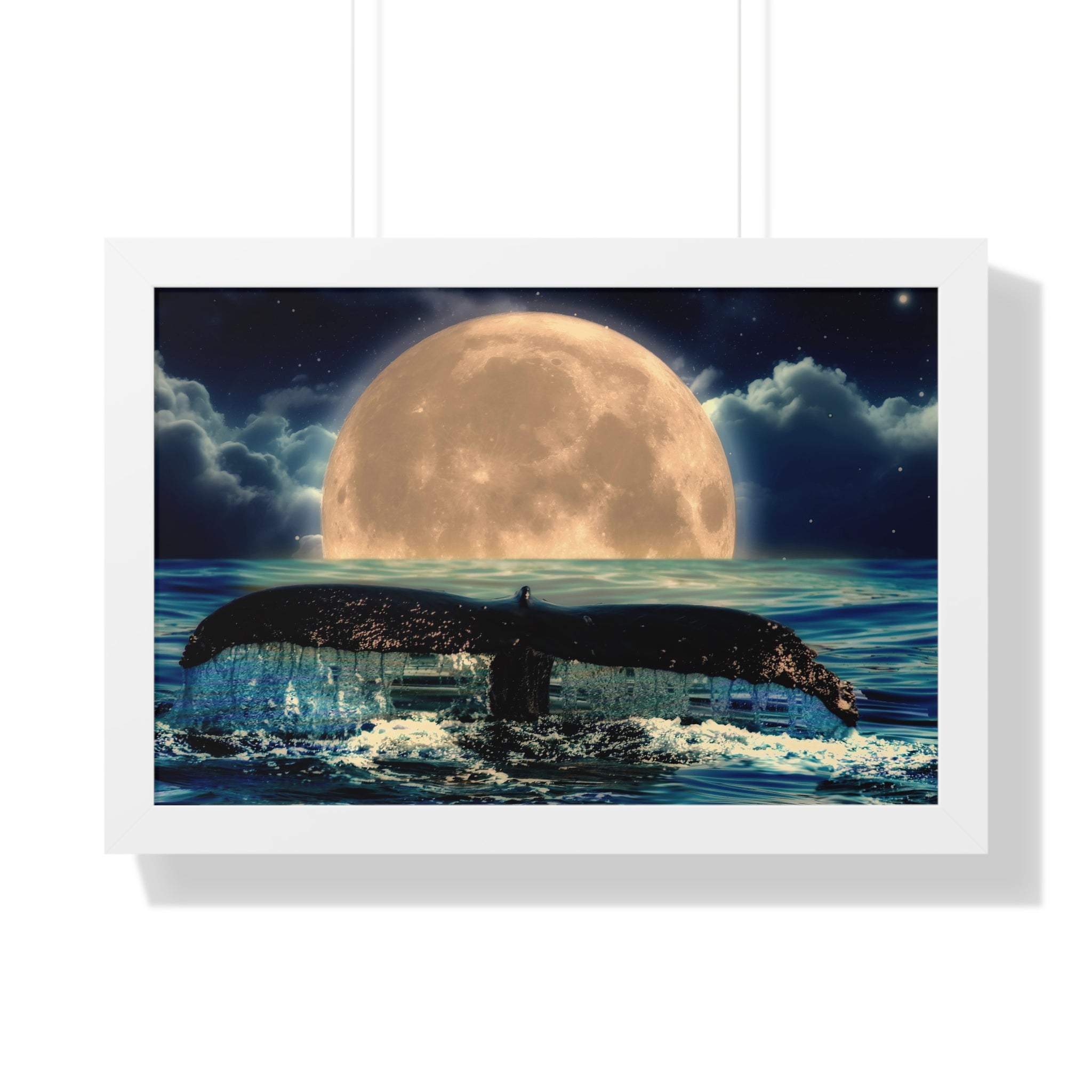 Ocean Odyssey