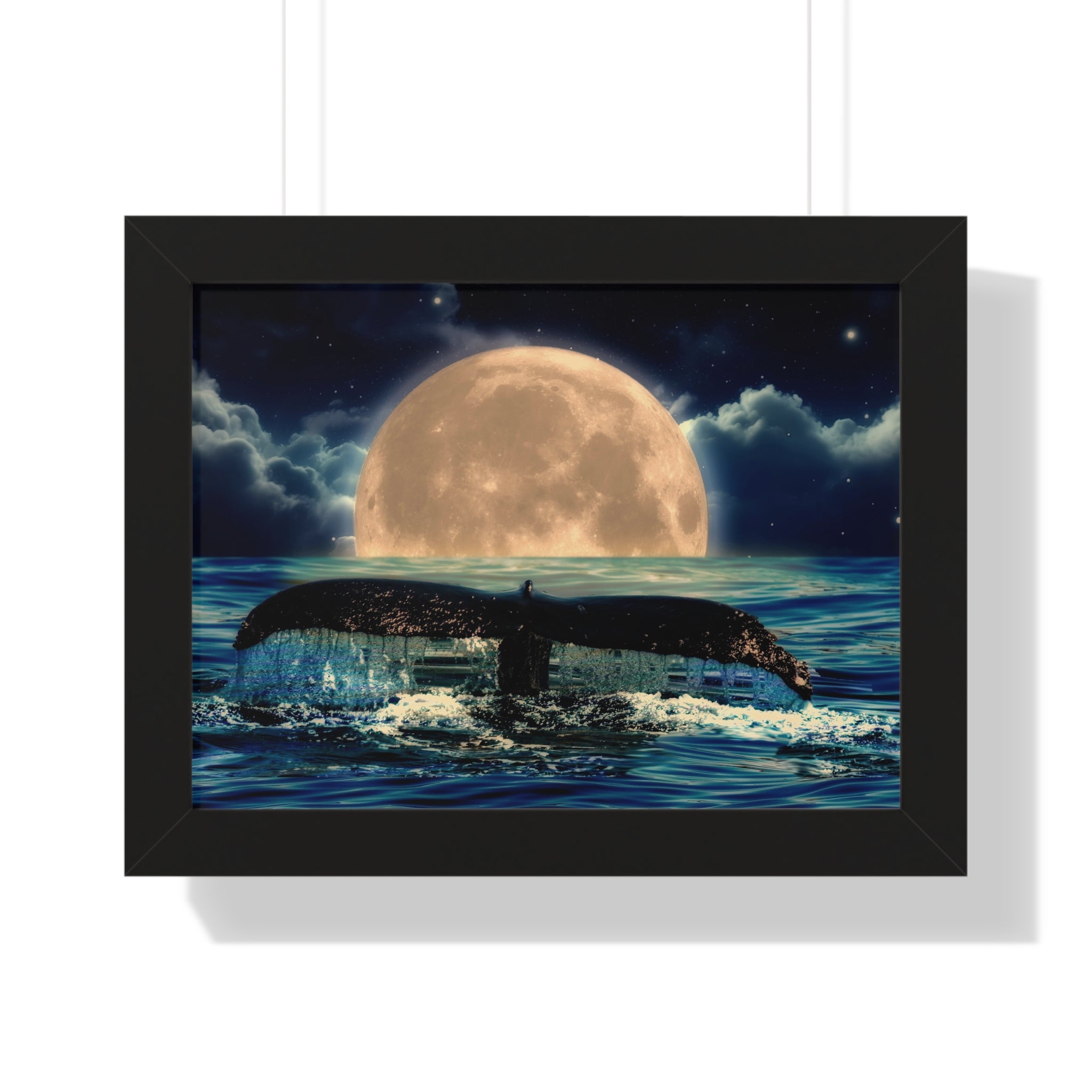 Ocean Odyssey
