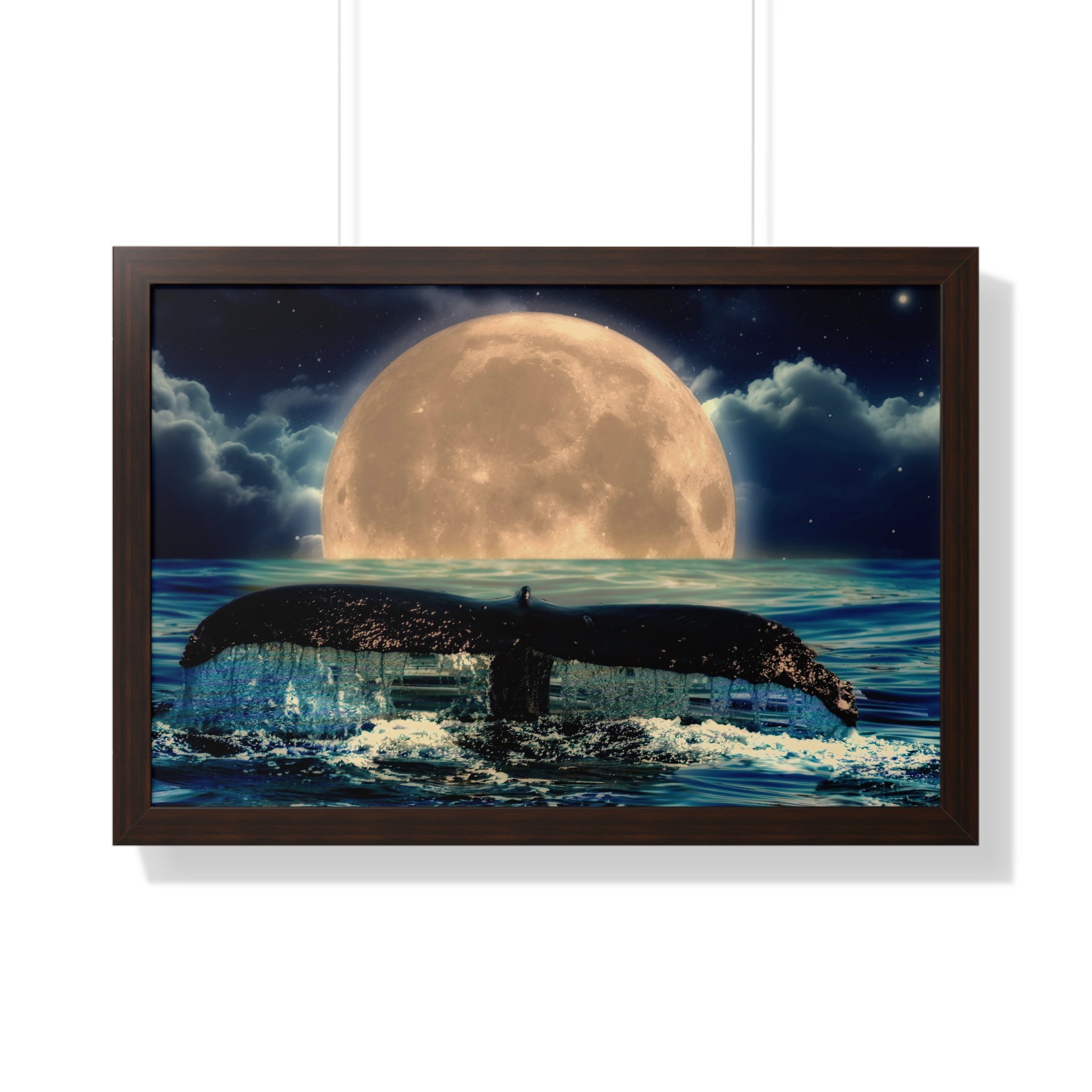 Ocean Odyssey