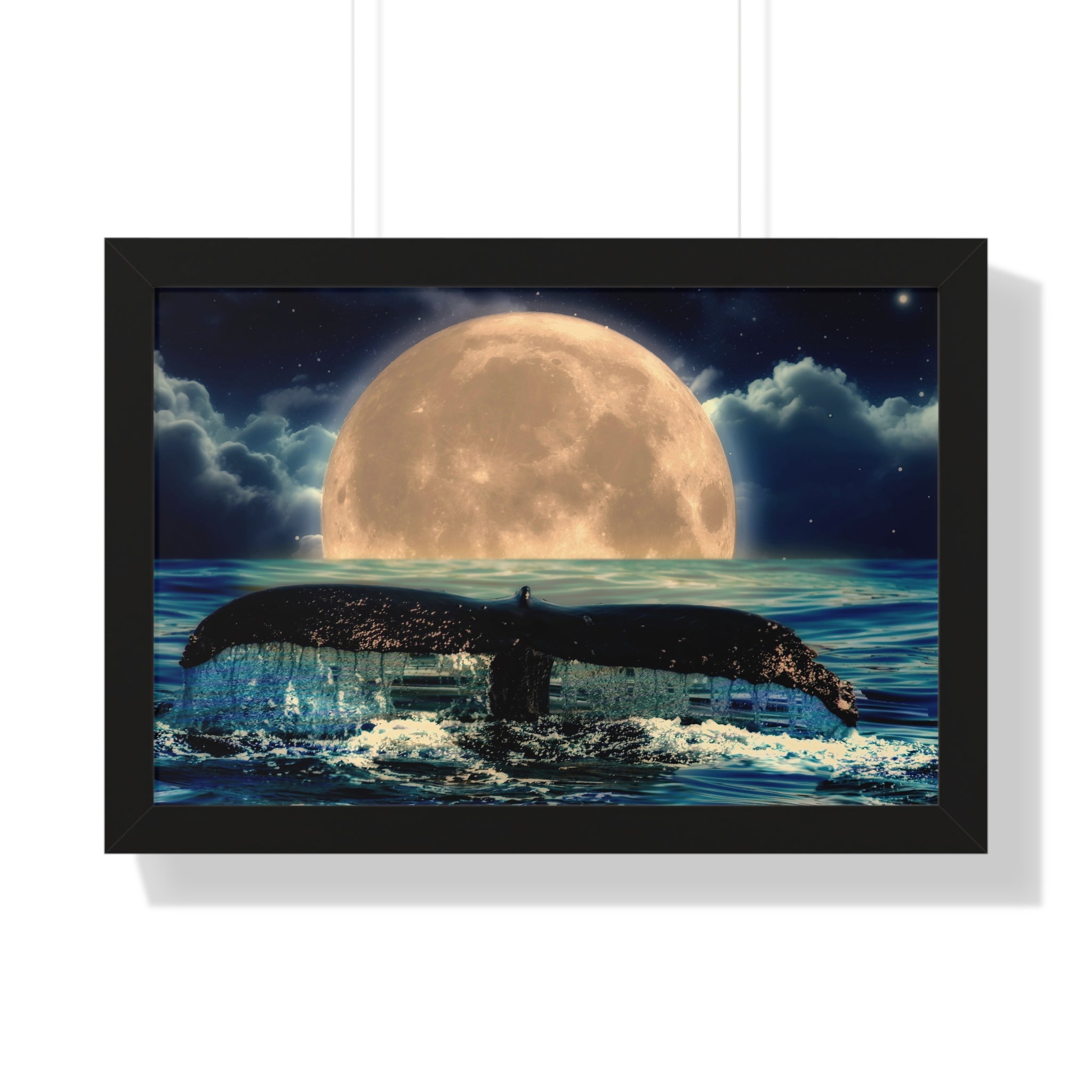 Ocean Odyssey