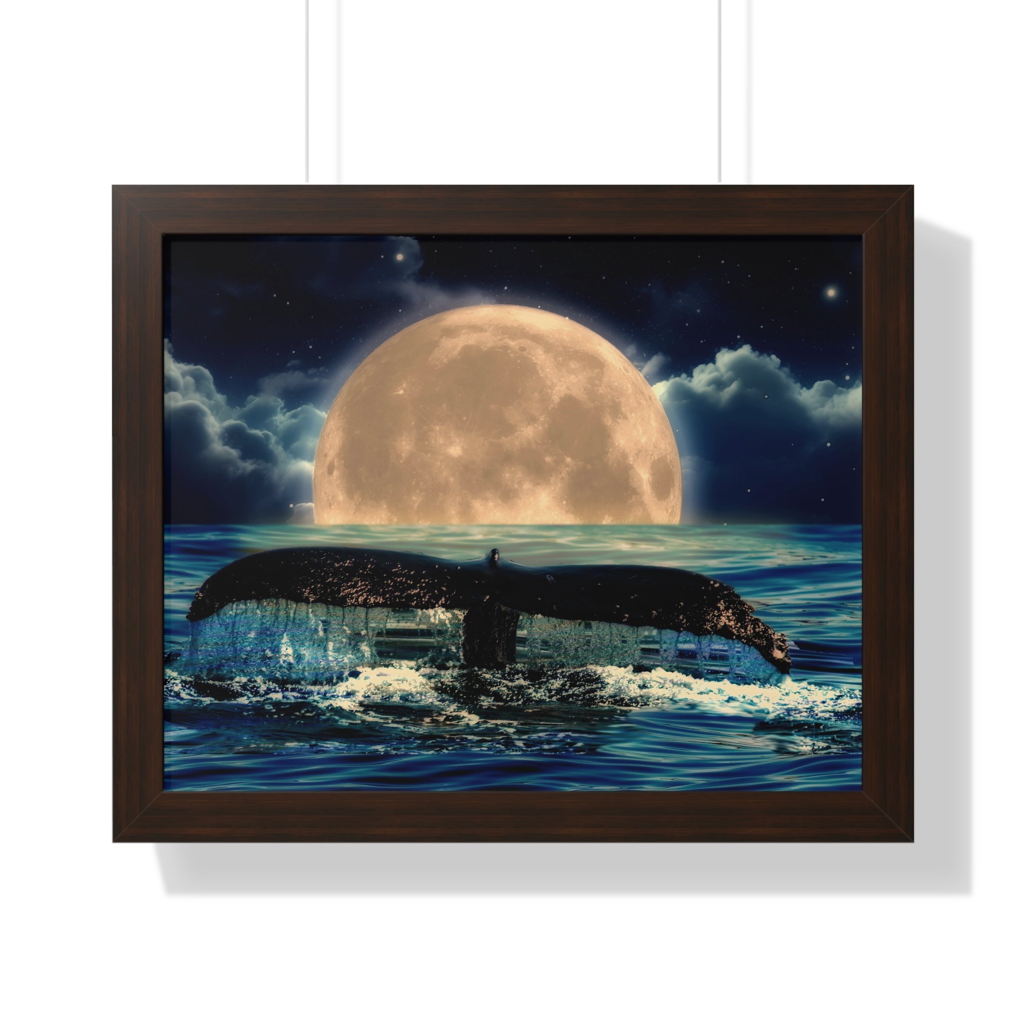 Ocean Odyssey