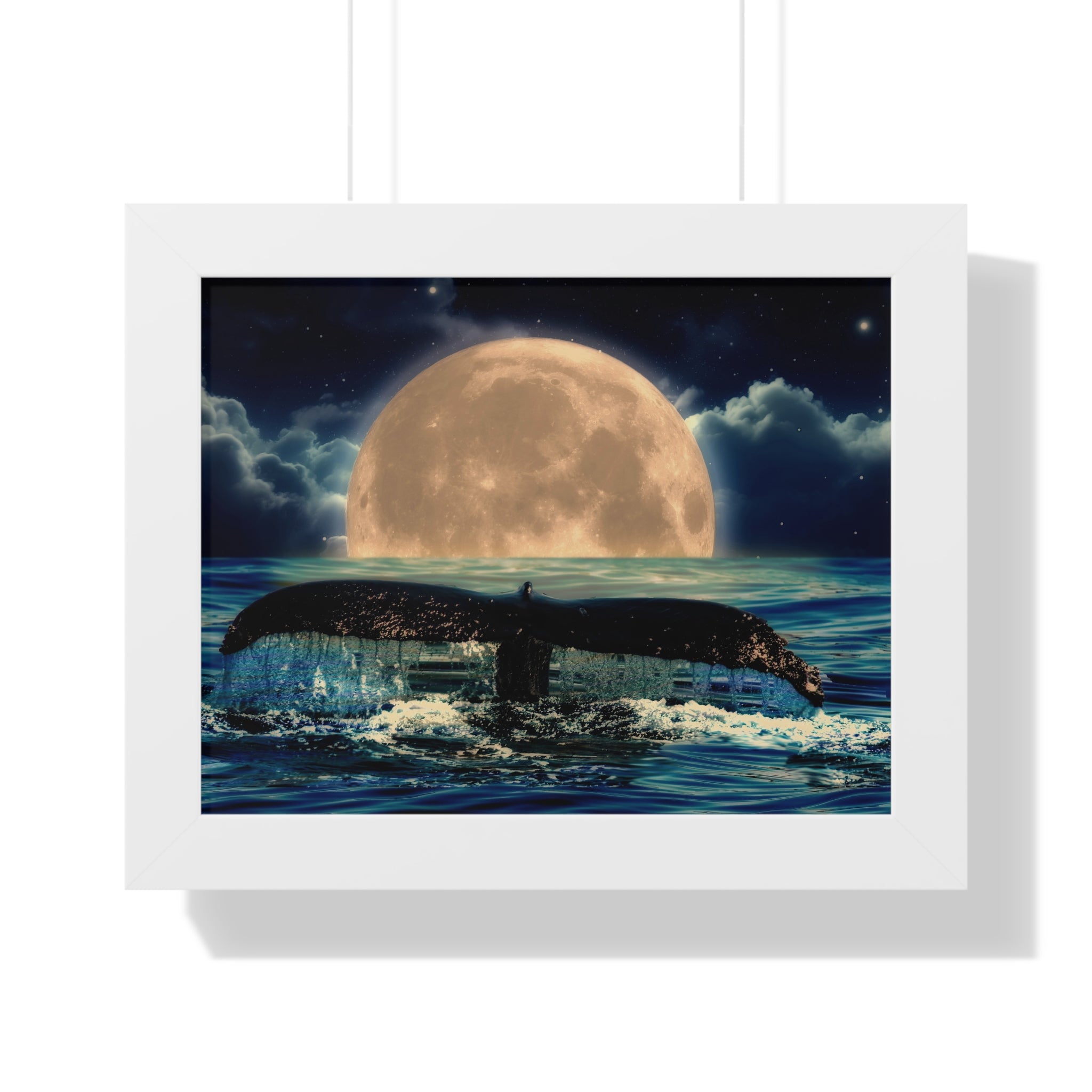 Ocean Odyssey