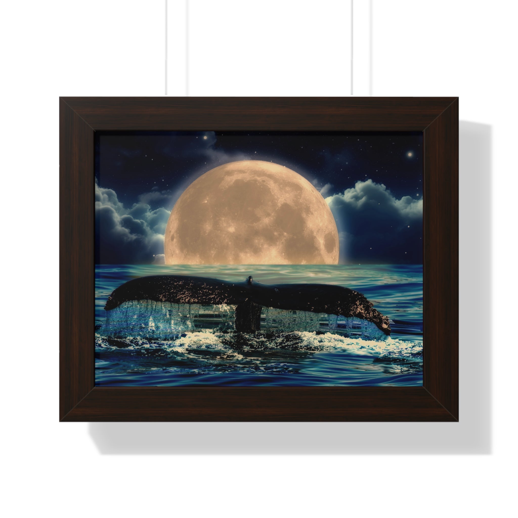 Ocean Odyssey
